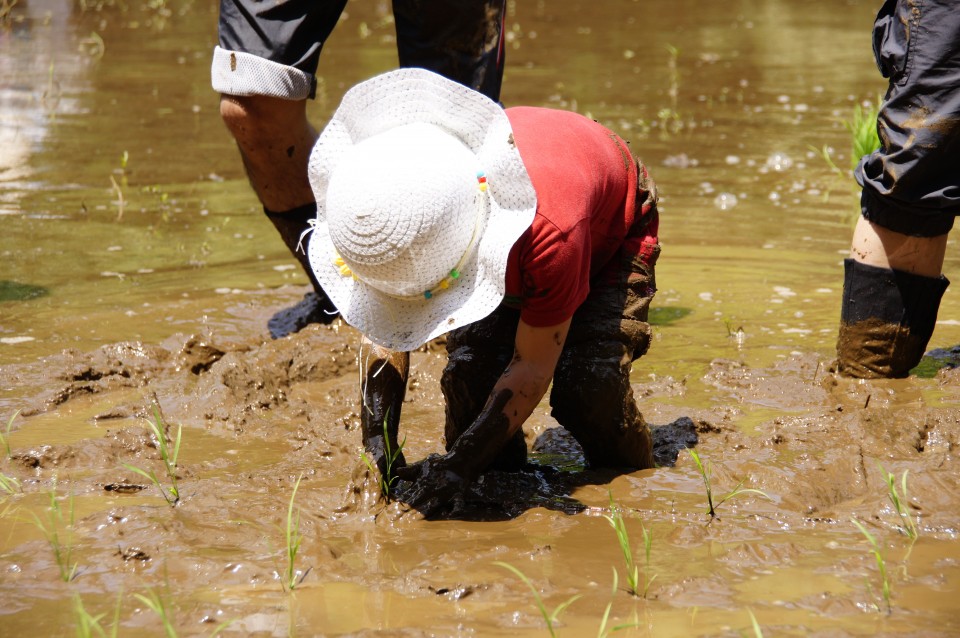 AdobeStock_462024871-960x638