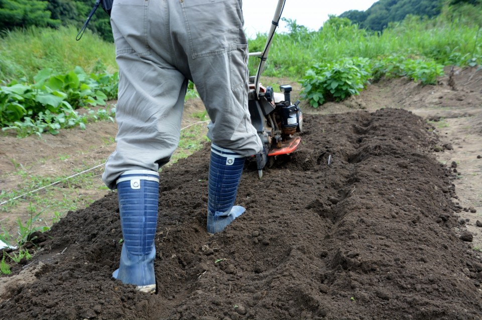 pixta_23493771_M-960x639