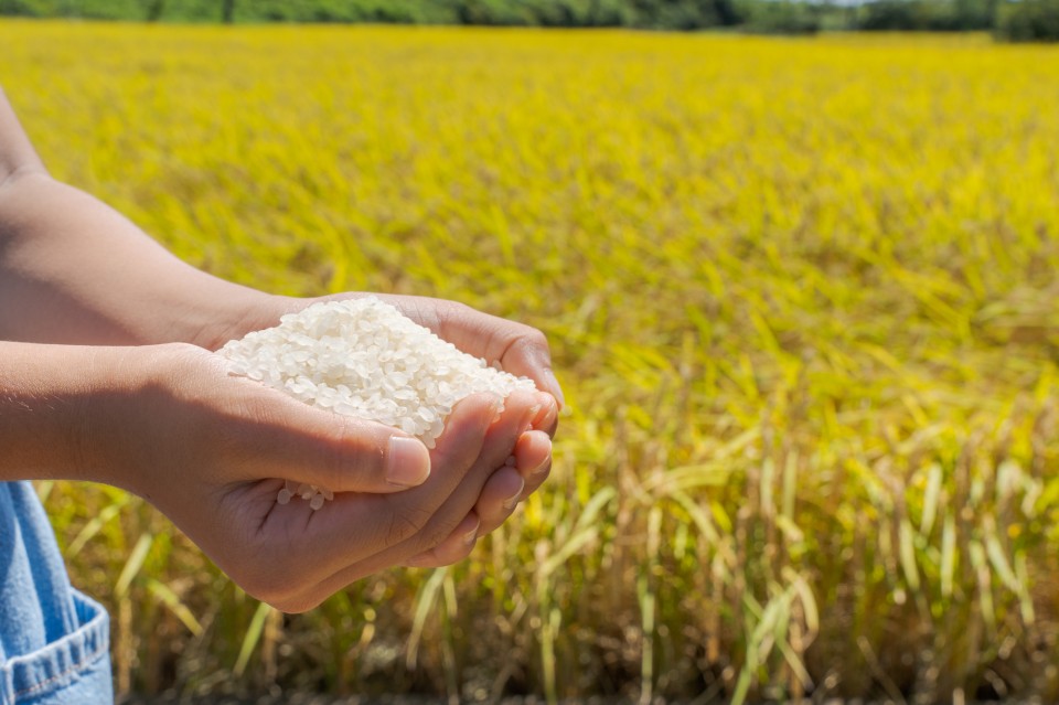 pixta_82141847_M-960x639